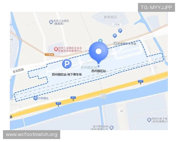 世界杯新西兰埃及比赛期间交通安排及公共交通出行攻略全解析